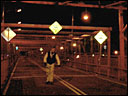 pic - TNS - Williamsburg Bridge